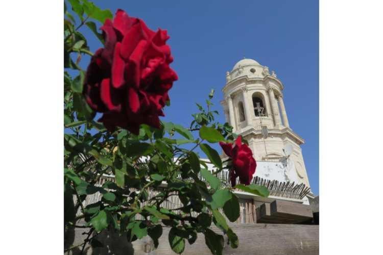 Casa Caracol Pansiyon Cadiz Dış mekan fotoğraf