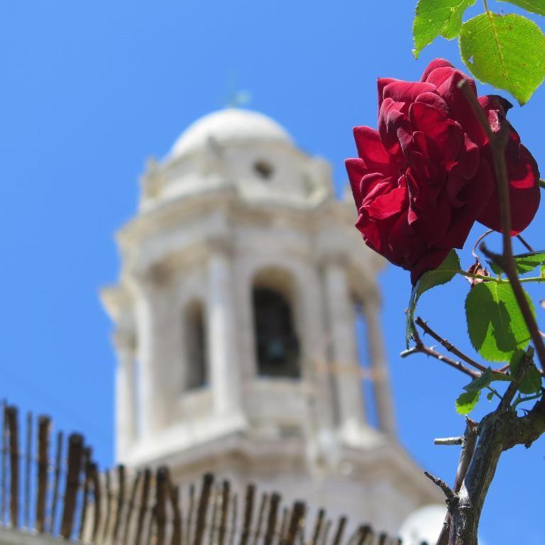 Casa Caracol Pansiyon Cadiz Dış mekan fotoğraf
